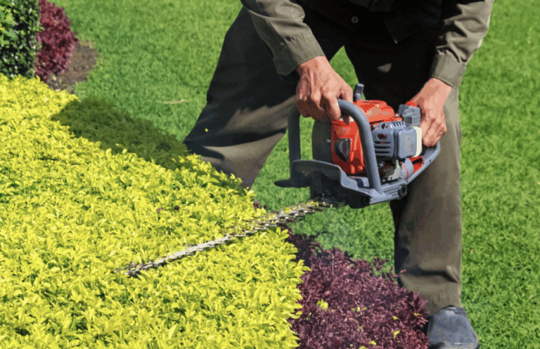 Bush Trimming