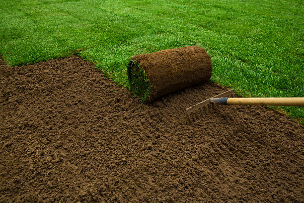 Perfect Time to Install New Sod